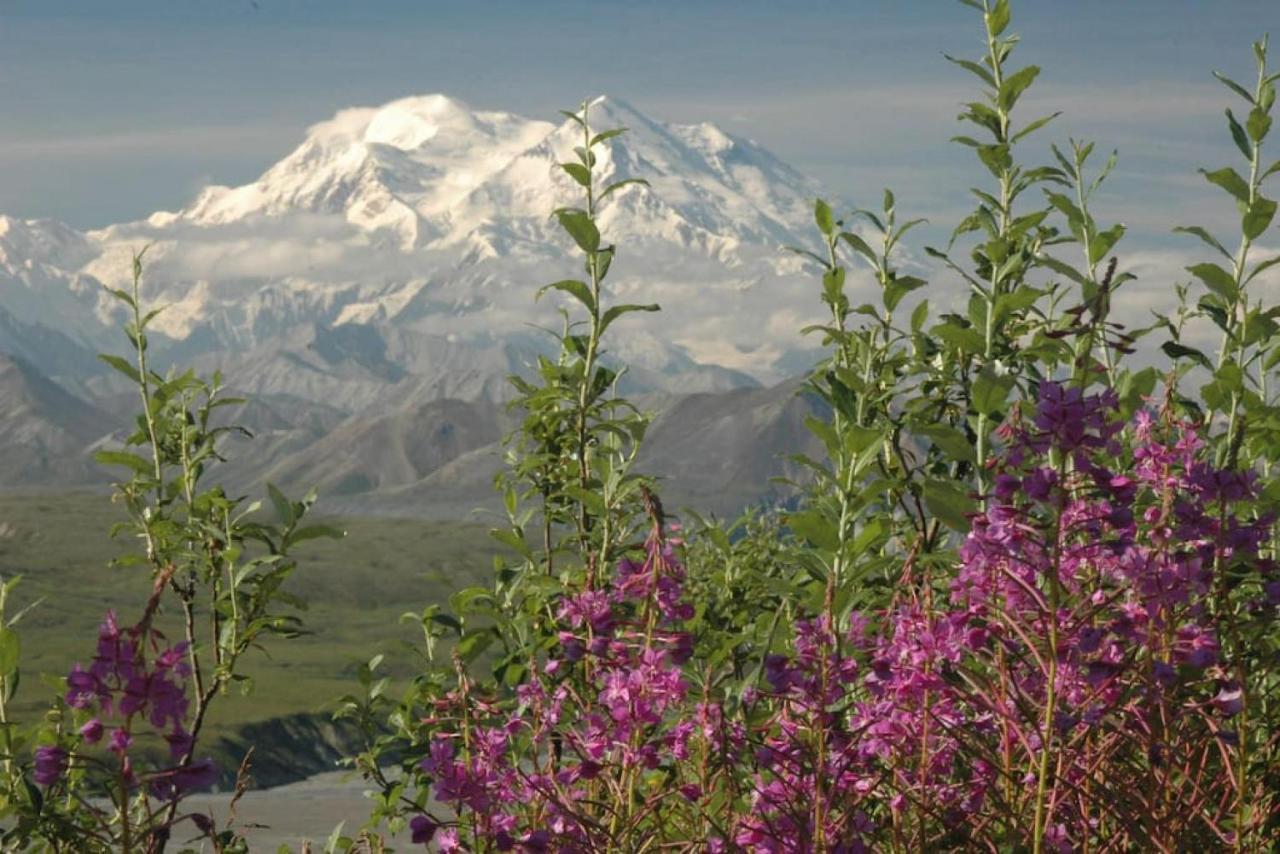 Denali Park 2 Bedroom Mom In Law Healy Eksteriør bilde